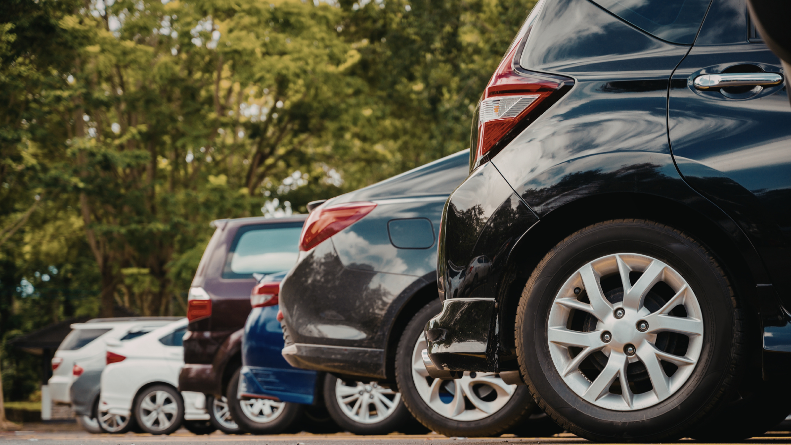 איזה רכב מתאים לי